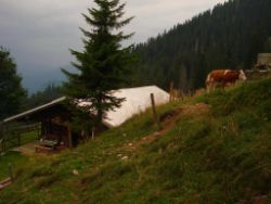 2013-08-25_Risserkogel (247).JPG